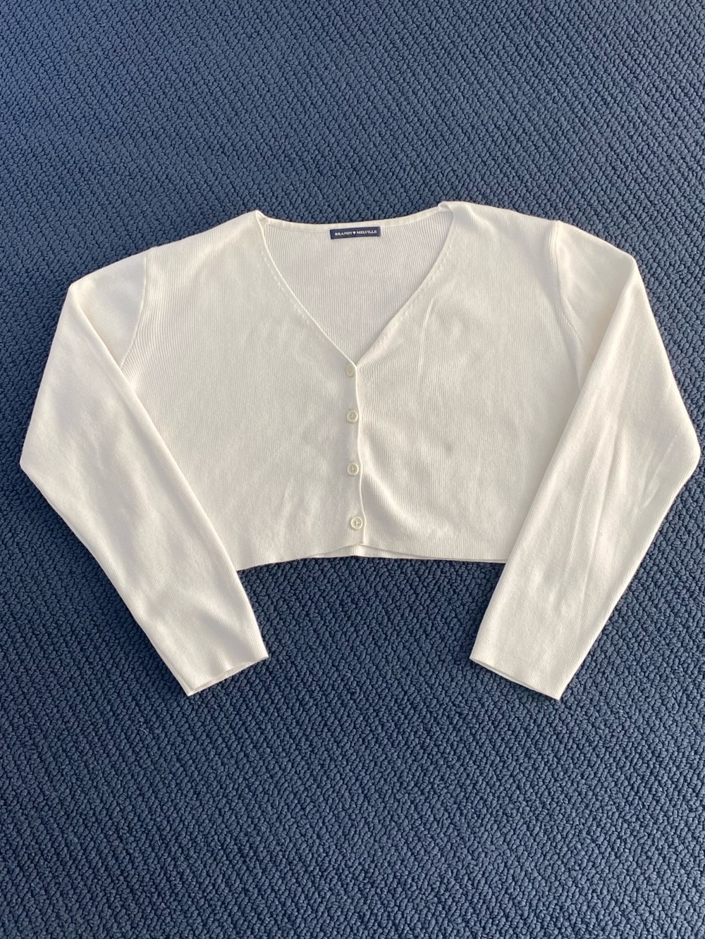 Brandy Melville Preppy Boxy Cardigan